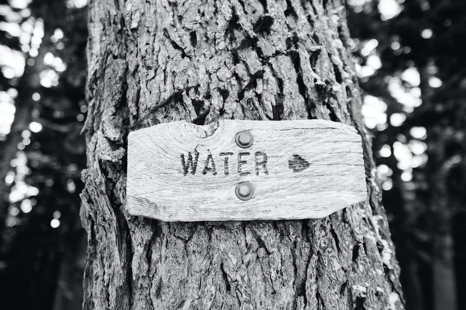 Sign on tree pointing to the water.